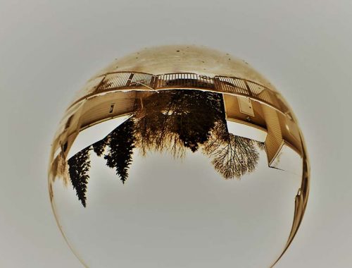 EL MUNDO NO ES UNA ILUSIÓN – STEVE TAYLOR